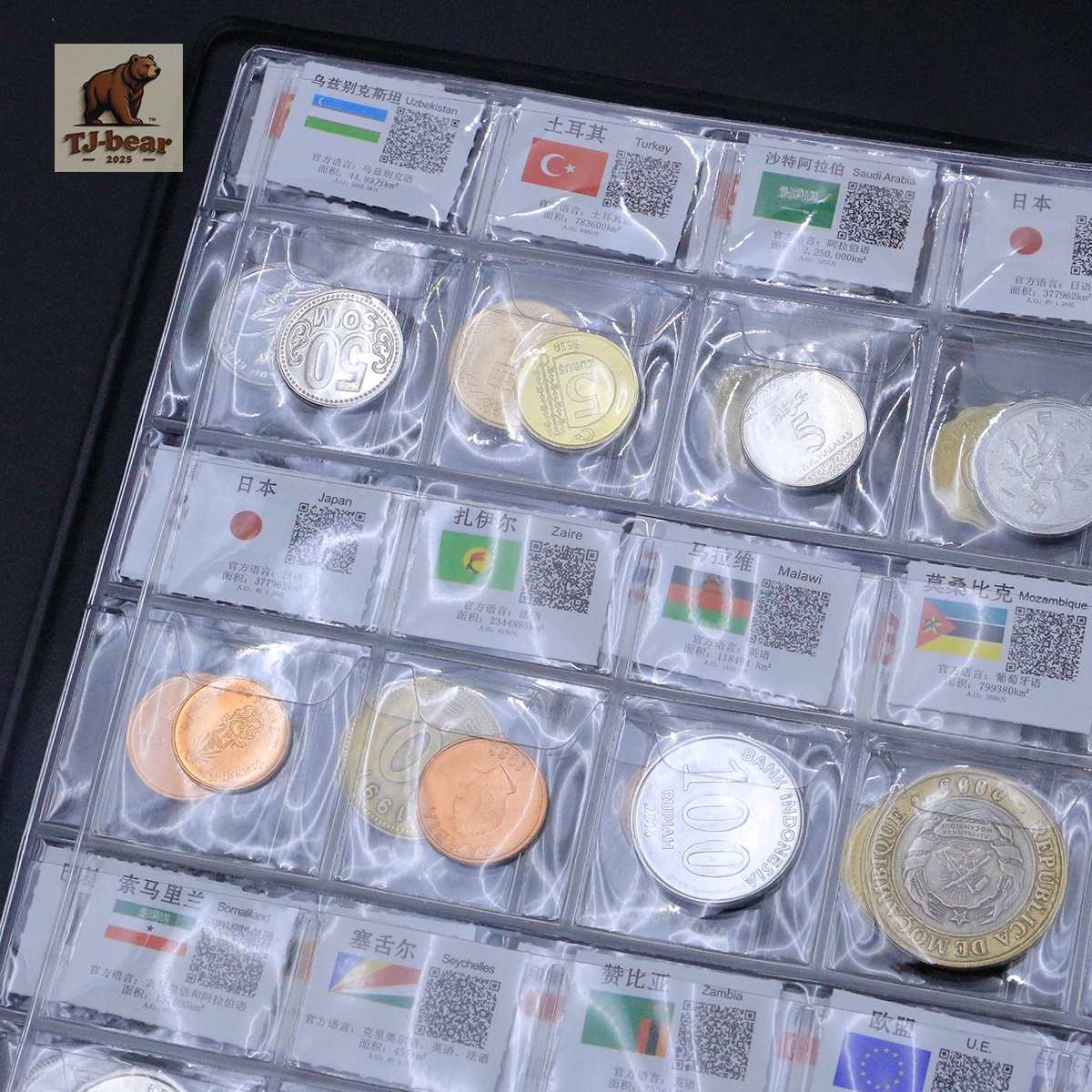 60 Countries Regions Coins Collection Books World Foreign Currency With Flags - Image 4
