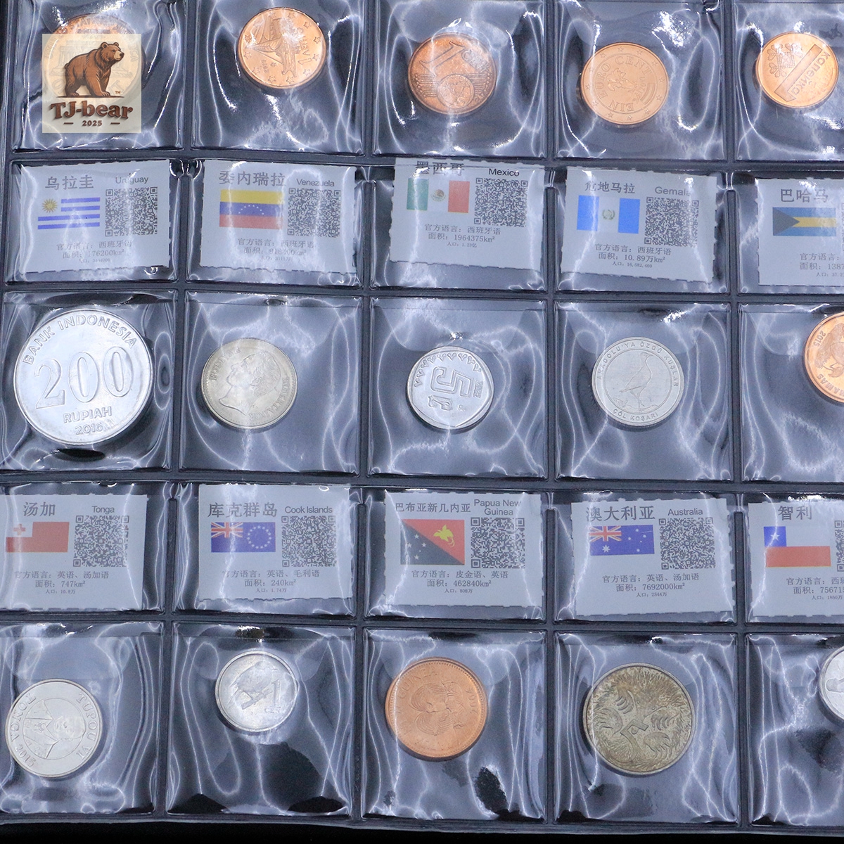 60 Countries Regions Coins Collection Books World Foreign Currency With Flags - Image 5